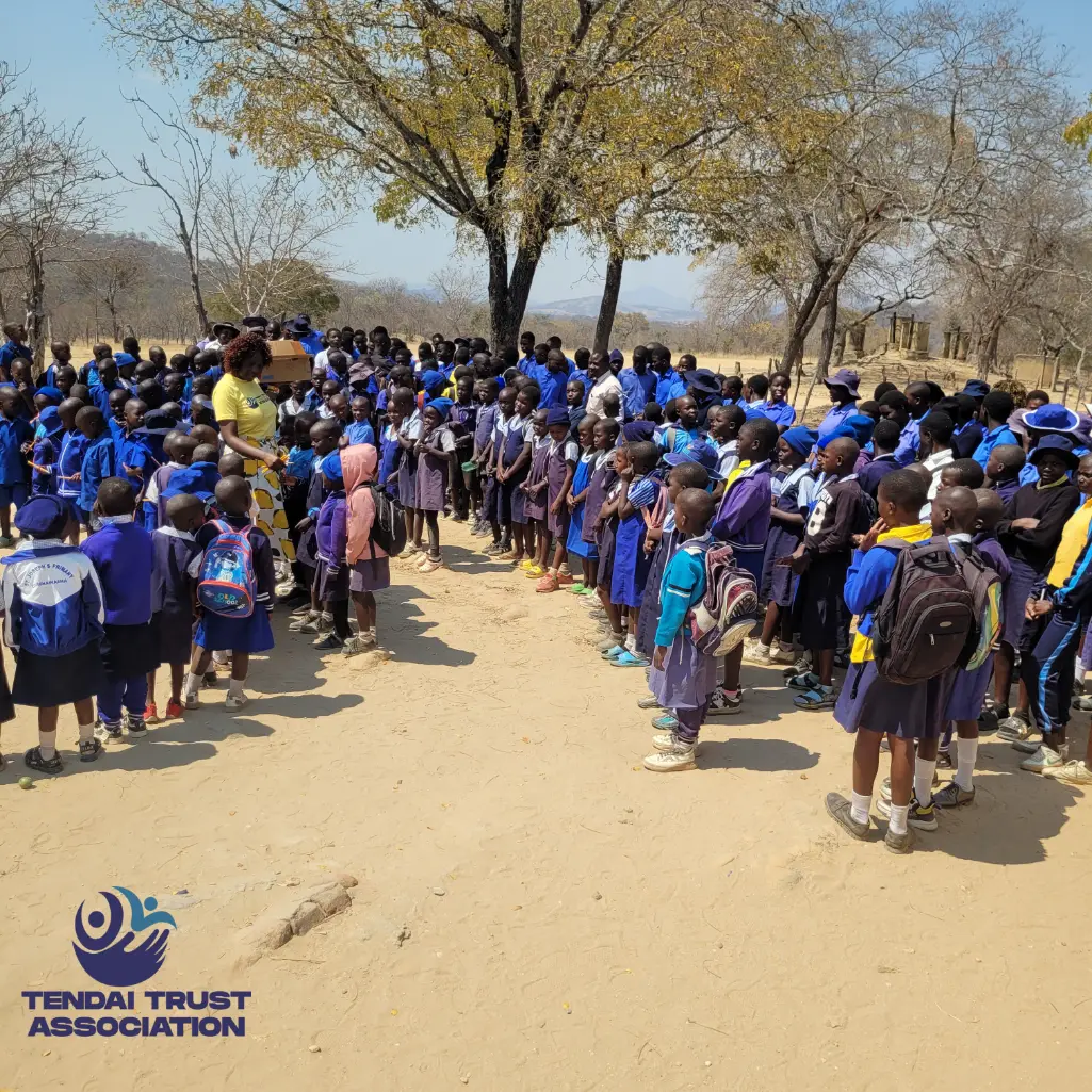 students tendai trust zimbabwe